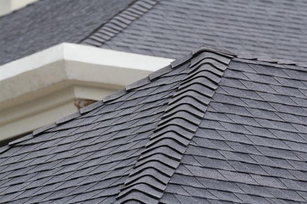 Storm Damage Roof Repair in Danville