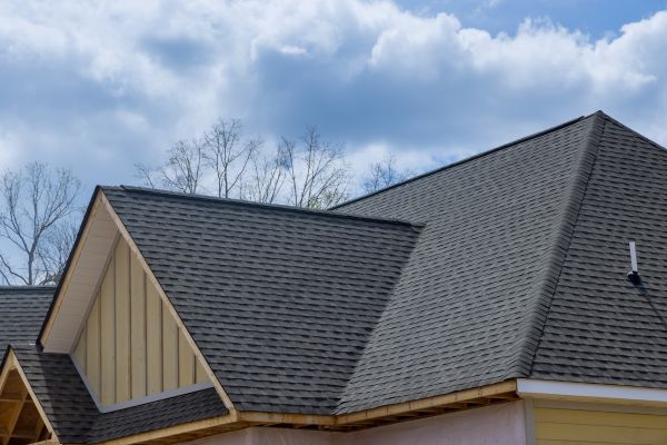 Shingles Replacement in Danville