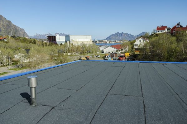 Single Ply Roof Inspection in Danville